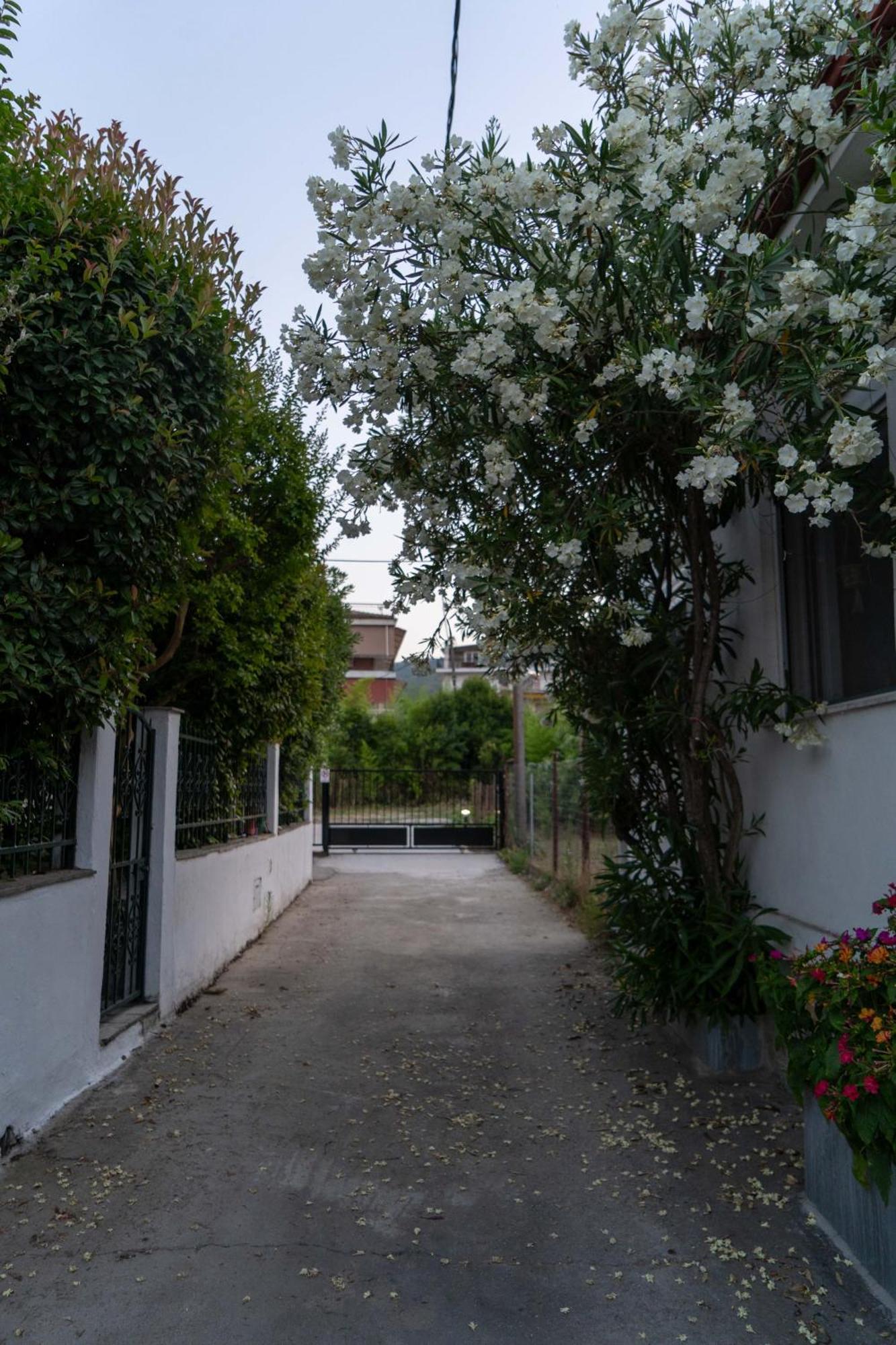 Terrazzo House Βίλα Πλαταμώνας Εξωτερικό φωτογραφία